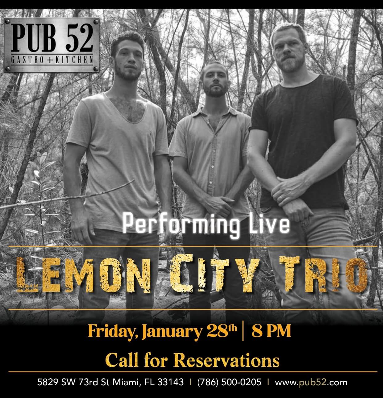 Lemon City Trio